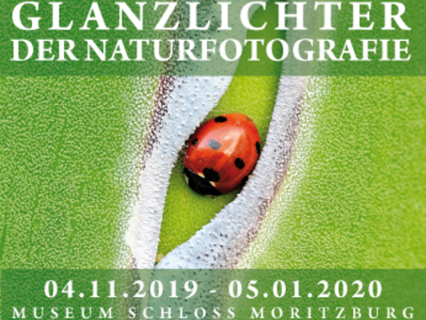 Plakat, Gestaltung: R. Eckel